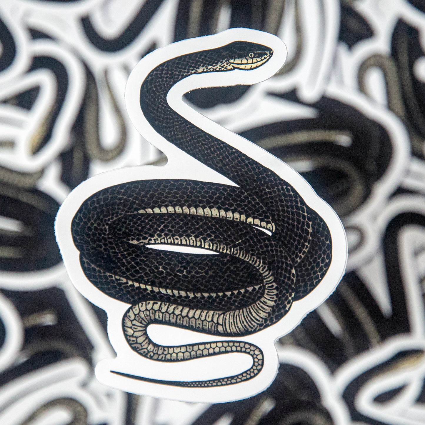 Black Racer Die-Cut Sticker (3 inch)