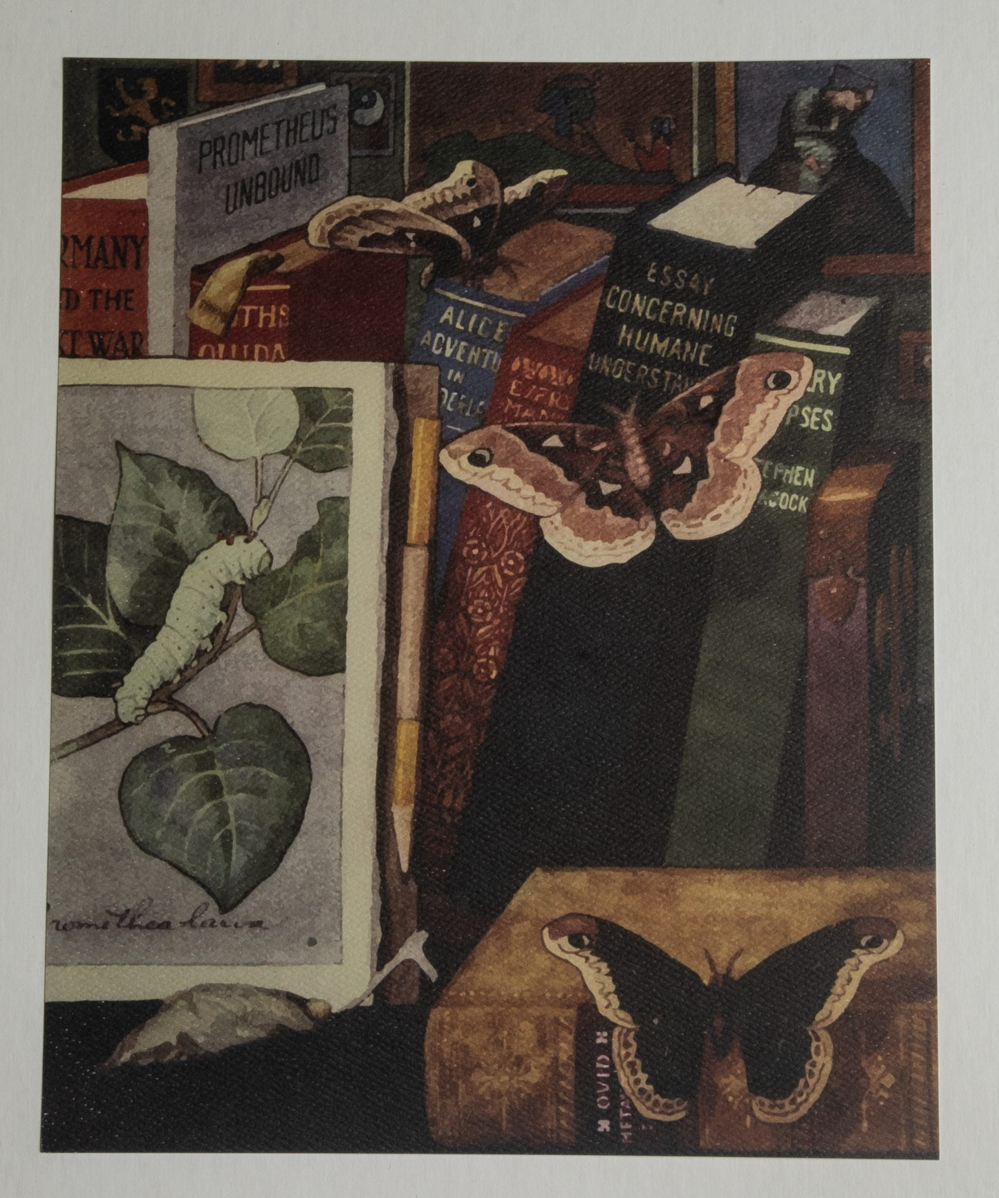 'Promethea Moth' Art Print