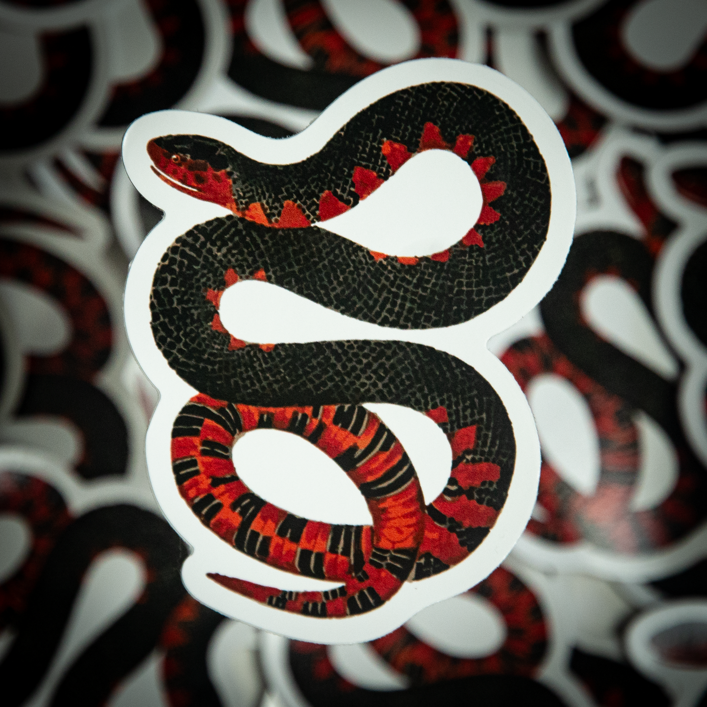 Eastern Mudsnake Die-cut Sticker