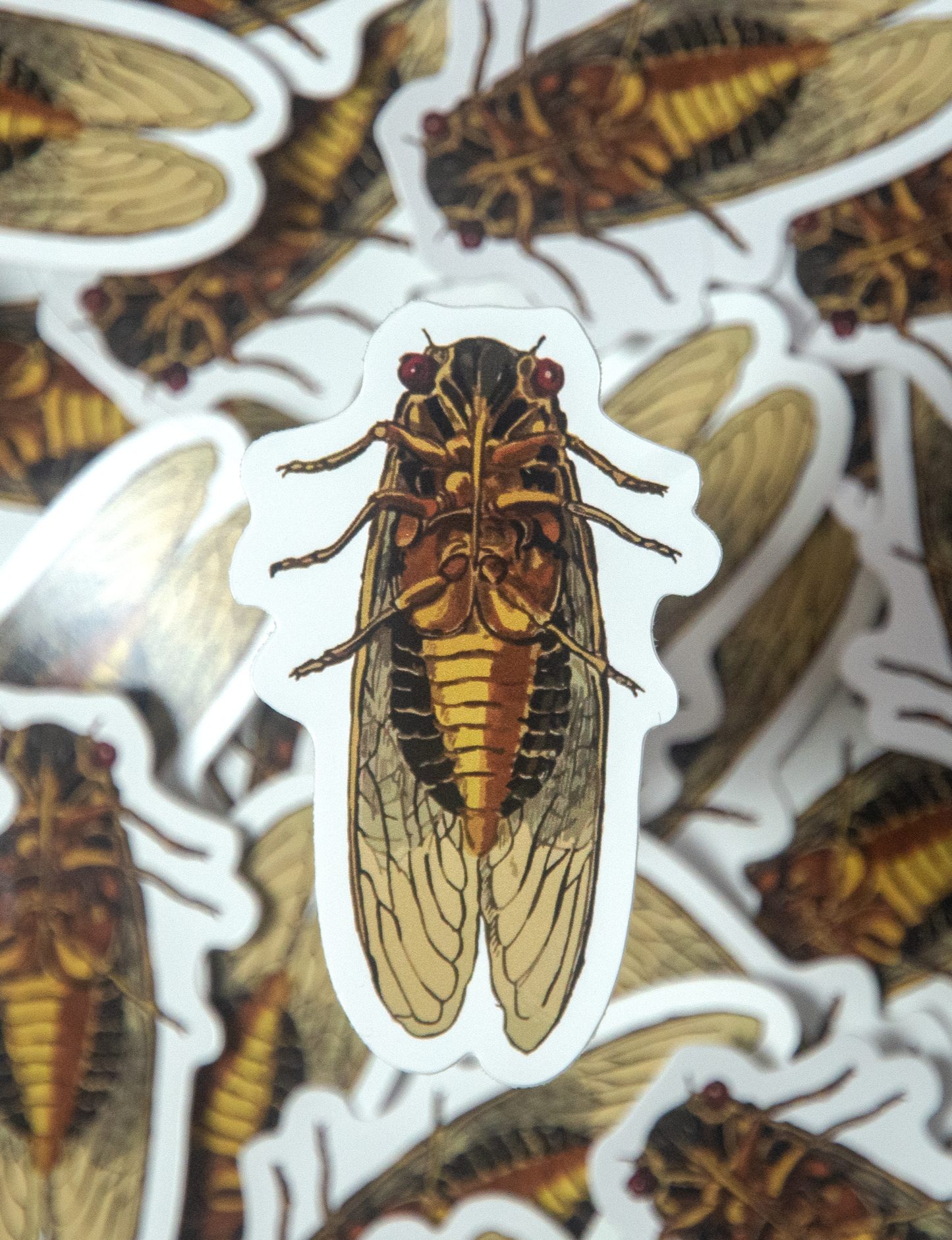 Cicada Die-Cut Sticker