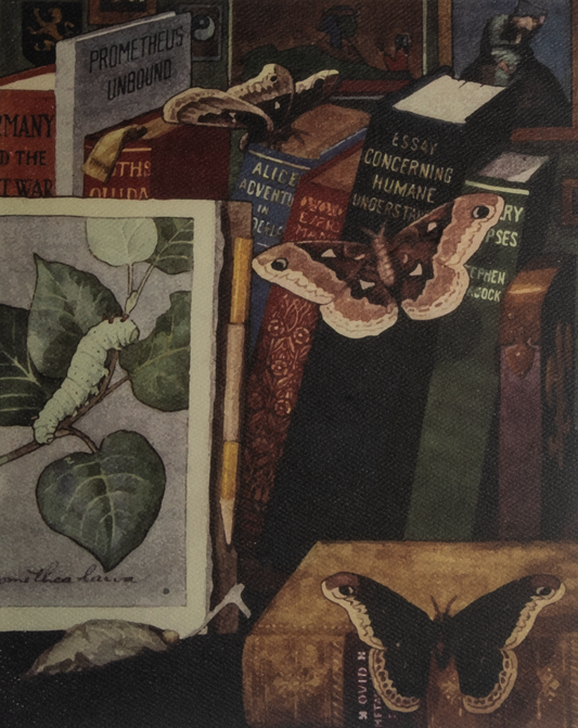 'Promethea Moth' Art Print